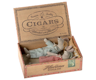 Mum and Dad Mice in Cigar Box