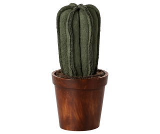 PREORDER* Flower pot with cactus