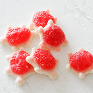 Sea Turtles- Gummy Candies