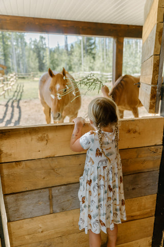 Short Sleeve Pocket Dress- Mountain Trails