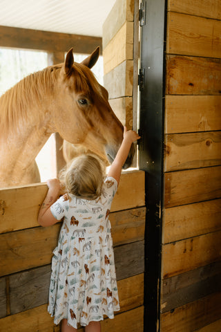 Short Sleeve Pocket Dress- Mountain Trails