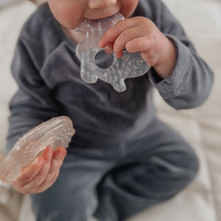 Cooling Nature Teether-Forest