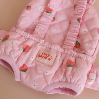 Doll Carrier - Strawberry picnic - Tiny Harlow